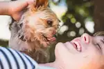 Communication animale : apaisement du stress et de l'anxiété de l'animal